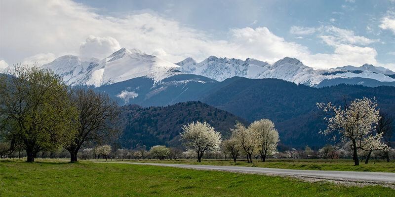 SBT-KMU SBTi Validation für KMU