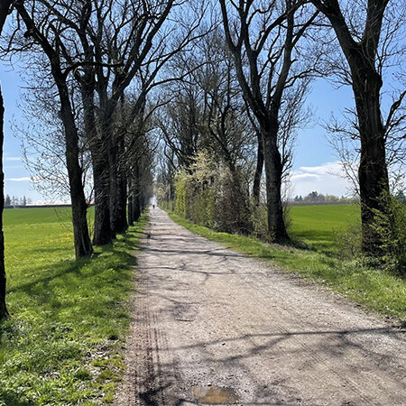 SBTi Automotive Sector Net-Zero Standard