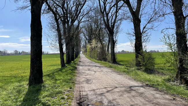 SBTi Automotive Sector Net-Zero Standard SBTi Automotive Sector Net-Zero Standard