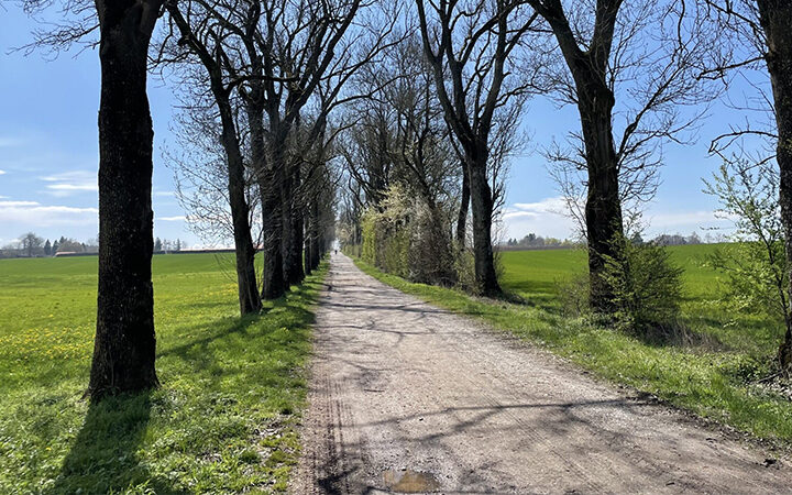 SBTi Automotive Sector Net-Zero Standard SBTi Automotive Sector Net-Zero Standard