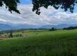 Ein malerischer Ausblick auf grüne Felder und Wiesen mit vereinzelten Häusern, umrahmt von Wäldern und fernen Bergen unter einem teilweise bewölkten Himmel, über dem sich Äste wölben.