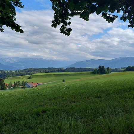 Ein malerischer Ausblick auf grüne Felder und Wiesen mit vereinzelten Häusern, umrahmt von Wäldern und fernen Bergen unter einem teilweise bewölkten Himmel, über dem sich Äste wölben.