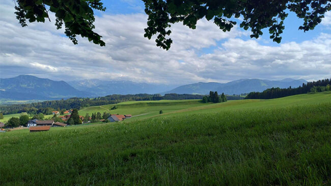 SBTi Net-Zero Standard 2.0 Ein malerischer Ausblick auf grüne Felder und Wiesen mit vereinzelten Häusern, umrahmt von Wäldern und fernen Bergen unter einem teilweise bewölkten Himmel, über dem sich Äste wölben.
