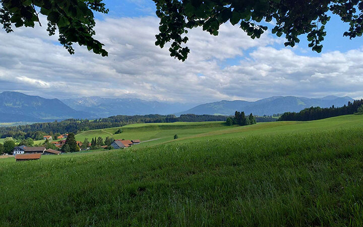 SBTi Net-Zero Standard 2.0 Ein malerischer Ausblick auf grüne Felder und Wiesen mit vereinzelten Häusern, umrahmt von Wäldern und fernen Bergen unter einem teilweise bewölkten Himmel, über dem sich Äste wölben.