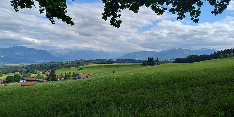 SBTi Net-Zero Standard 2.0 Ein malerischer Ausblick auf grüne Felder und Wiesen mit vereinzelten Häusern, umrahmt von Wäldern und fernen Bergen unter einem teilweise bewölkten Himmel, über dem sich Äste wölben.