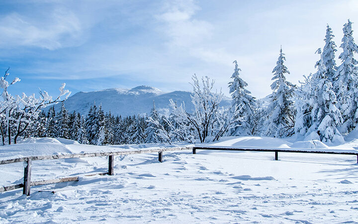 SBTs-2026 Science-based Targets 2026