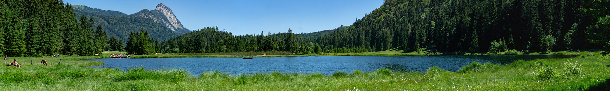 Scope3-1-QuickCheck_Wide A serene mountain lake surrounded by dense green forest, grassy shore, and distant rocky peaks under a clear blue sky.