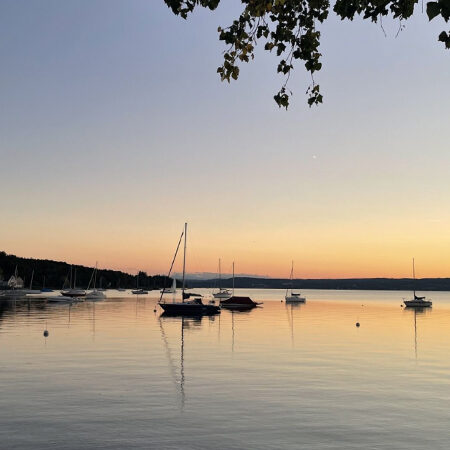 Supply Chain Engagement