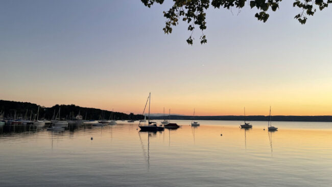 Supply Chain Engagement