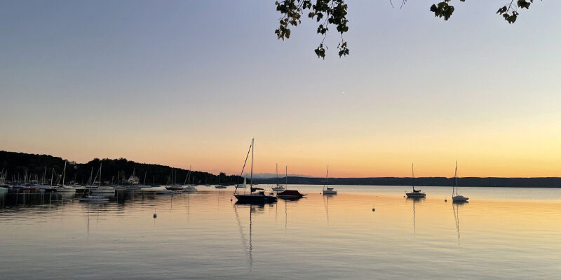 Supply Chain Engagement