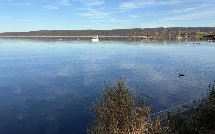 Sustainability-Leadership Sustainability Leadership