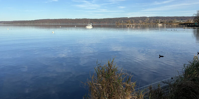 Sustainability-Leadership Sustainability Leadership