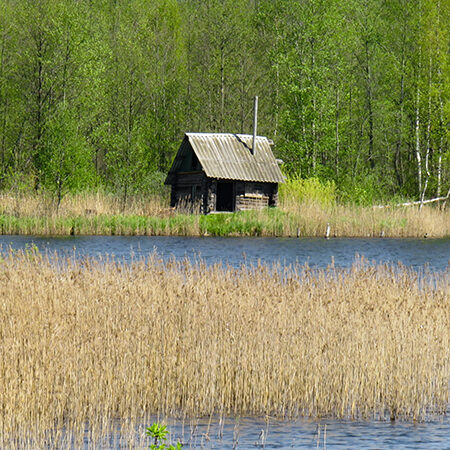 UNGC-Auswertung 2026