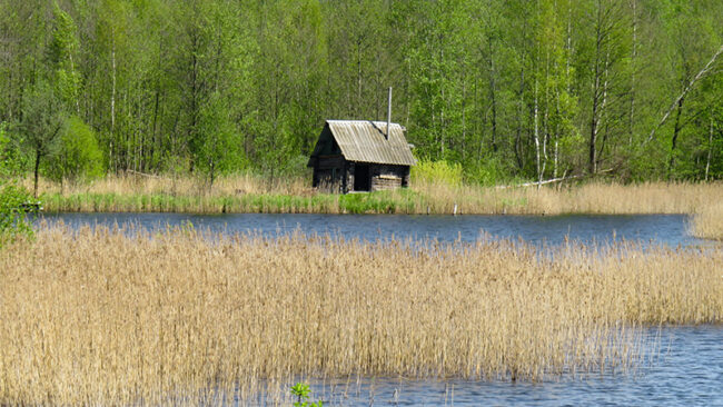 UNGC-Auswertung 2026 UNGC-Auswertung 2026