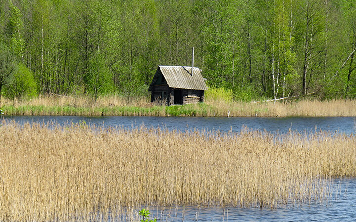 UNGC-Auswertung 2026 UNGC-Auswertung 2026