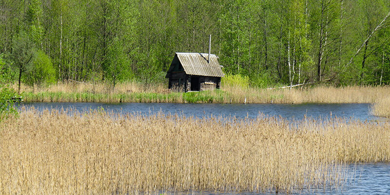 UNGC-Auswertung 2026 UNGC-Auswertung 2026