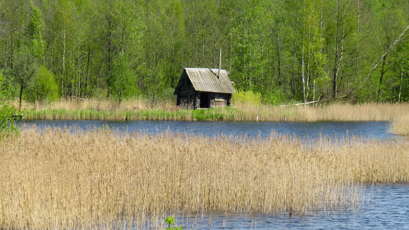 UNGC-Auswertung 2026