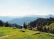 Eine malerische Aussicht auf grüne Grashügel und Wälder mit blauen Bergen in der Ferne unter einem klaren, hellen Himmel.