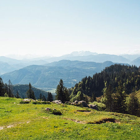 Eine malerische Aussicht auf grüne Grashügel und Wälder mit blauen Bergen in der Ferne unter einem klaren, hellen Himmel.