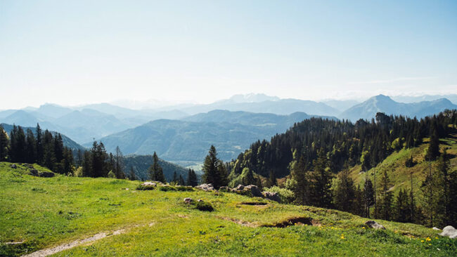 VS-ESRS Eine malerische Aussicht auf grüne Grashügel und Wälder mit blauen Bergen in der Ferne unter einem klaren, hellen Himmel.