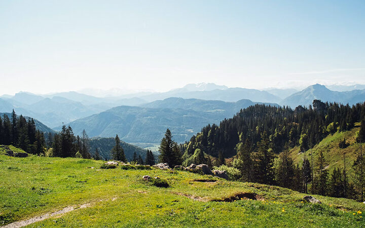 VS-ESRS Eine malerische Aussicht auf grüne Grashügel und Wälder mit blauen Bergen in der Ferne unter einem klaren, hellen Himmel.