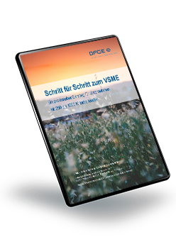 Mockup VSME Praxisleitfaden