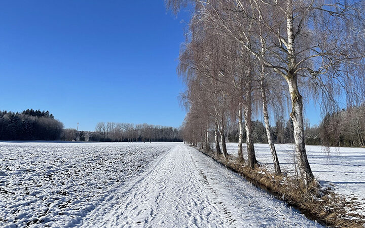 WEF Global Risk Report 2026 Global Risk Report 2026