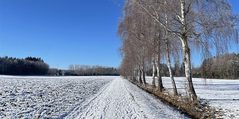 WEF Global Risk Report 2026 Global Risk Report 2026