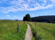 Ein schmaler Feldweg führt durch eine Wiese, die auf beiden Seiten von Holzpfosten gesäumt ist, und verläuft in Richtung der Bäume unter einem strahlend blauen Himmel mit vereinzelten Wolken.