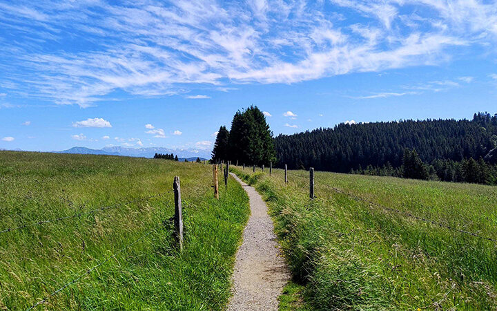 Wettbewerbsfähigkiet-und-Resilienz-trotz-Krise Ein schmaler Feldweg führt durch eine Wiese, die auf beiden Seiten von Holzpfosten gesäumt ist, und verläuft in Richtung der Bäume unter einem strahlend blauen Himmel mit vereinzelten Wolken.