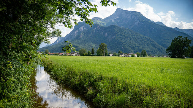 World Environment Day 2026 Ein schmaler Bach fließt entlang eines saftig grünen Feldes mit hohen, bewaldeten Bergen im Hintergrund unter einem teilweise bewölkten Himmel. In der Ferne sind Bäume und Häuser zu sehen.