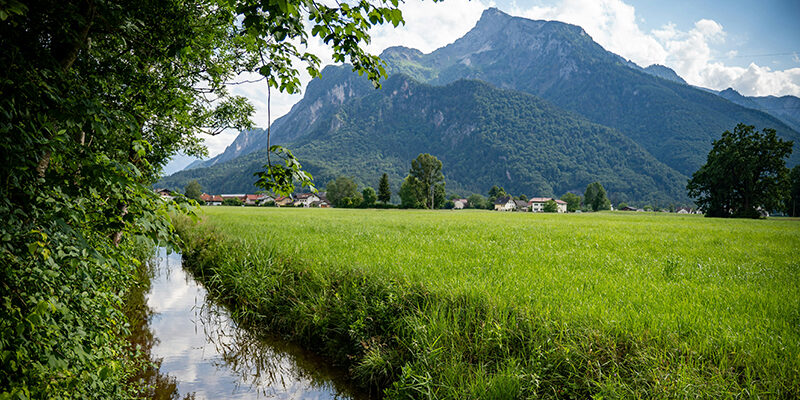 World Environment Day 2026 Ein schmaler Bach fließt entlang eines saftig grünen Feldes mit hohen, bewaldeten Bergen im Hintergrund unter einem teilweise bewölkten Himmel. In der Ferne sind Bäume und Häuser zu sehen.