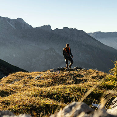 ZF Friedrichshafen DFGE