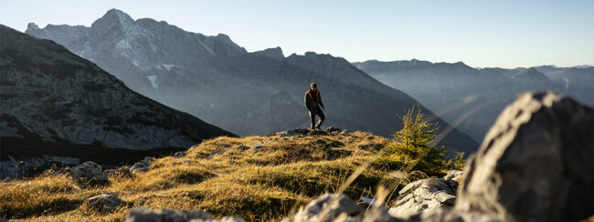 ZF Friedrichshafen DFGE