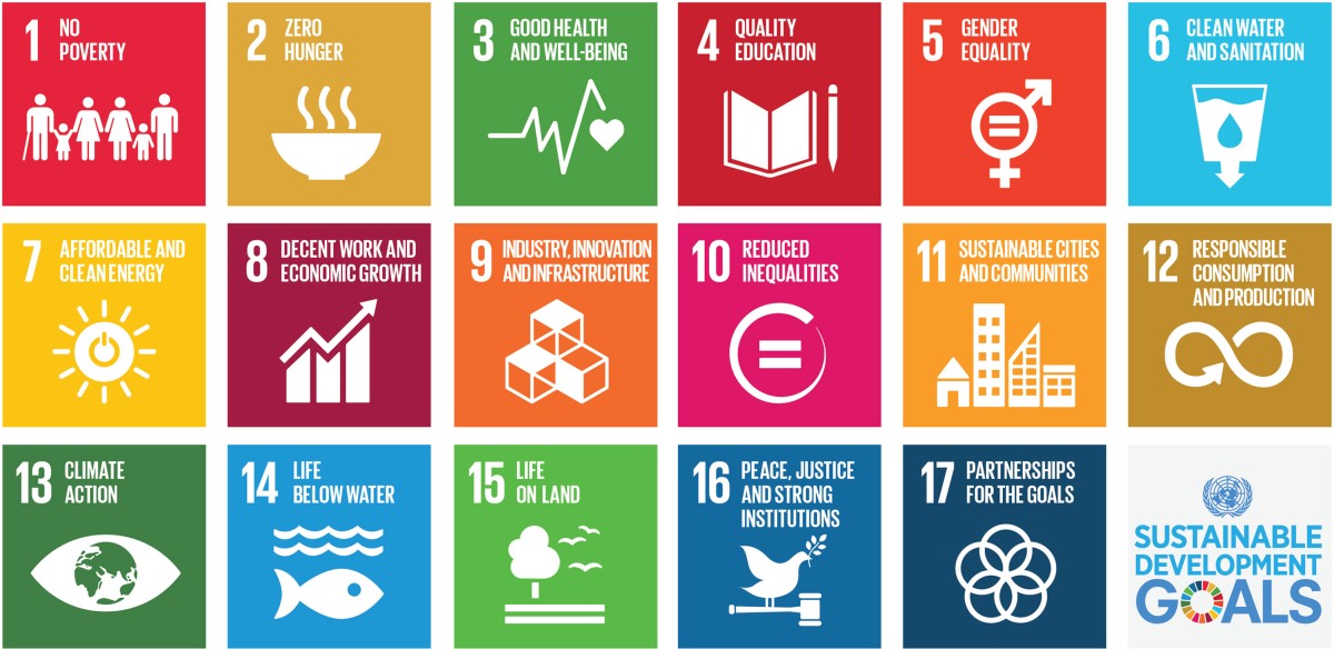 17 SDGs